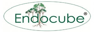 endocube-300x105 (1)